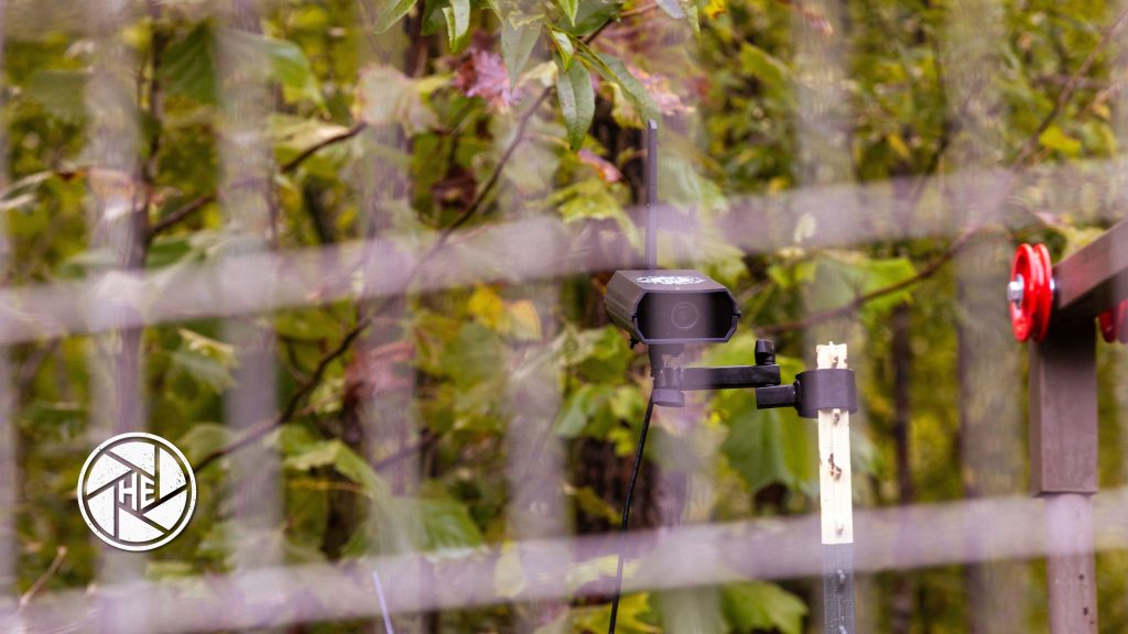 Thermal vs. Night Vision vs. Live Feed Thermal vs. Night Vision vs. Live Feed