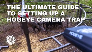 Ultimate Guide to setting up a Hogeye camera trap
