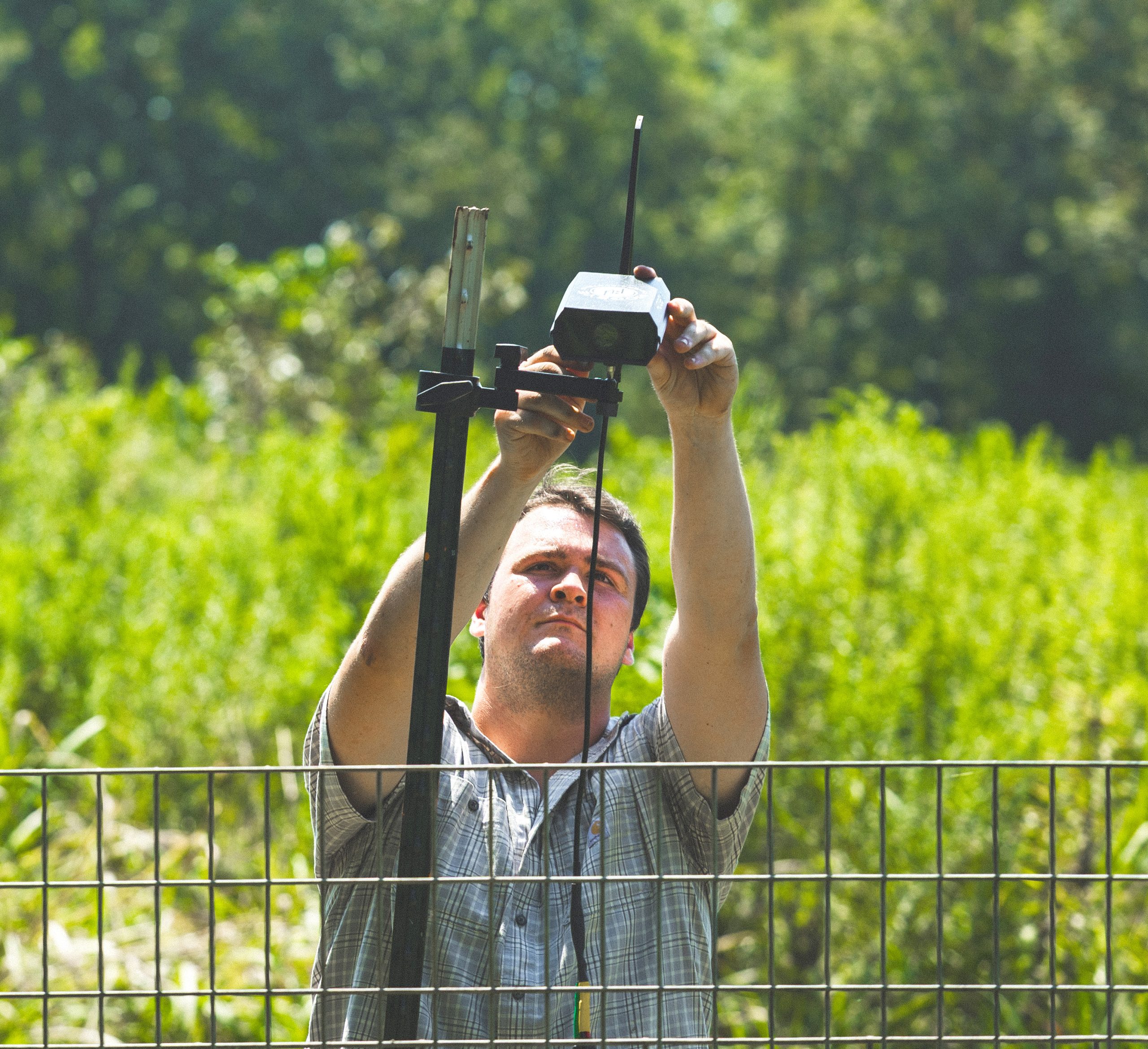 Person adjusting a HogEye camera on a trap structure