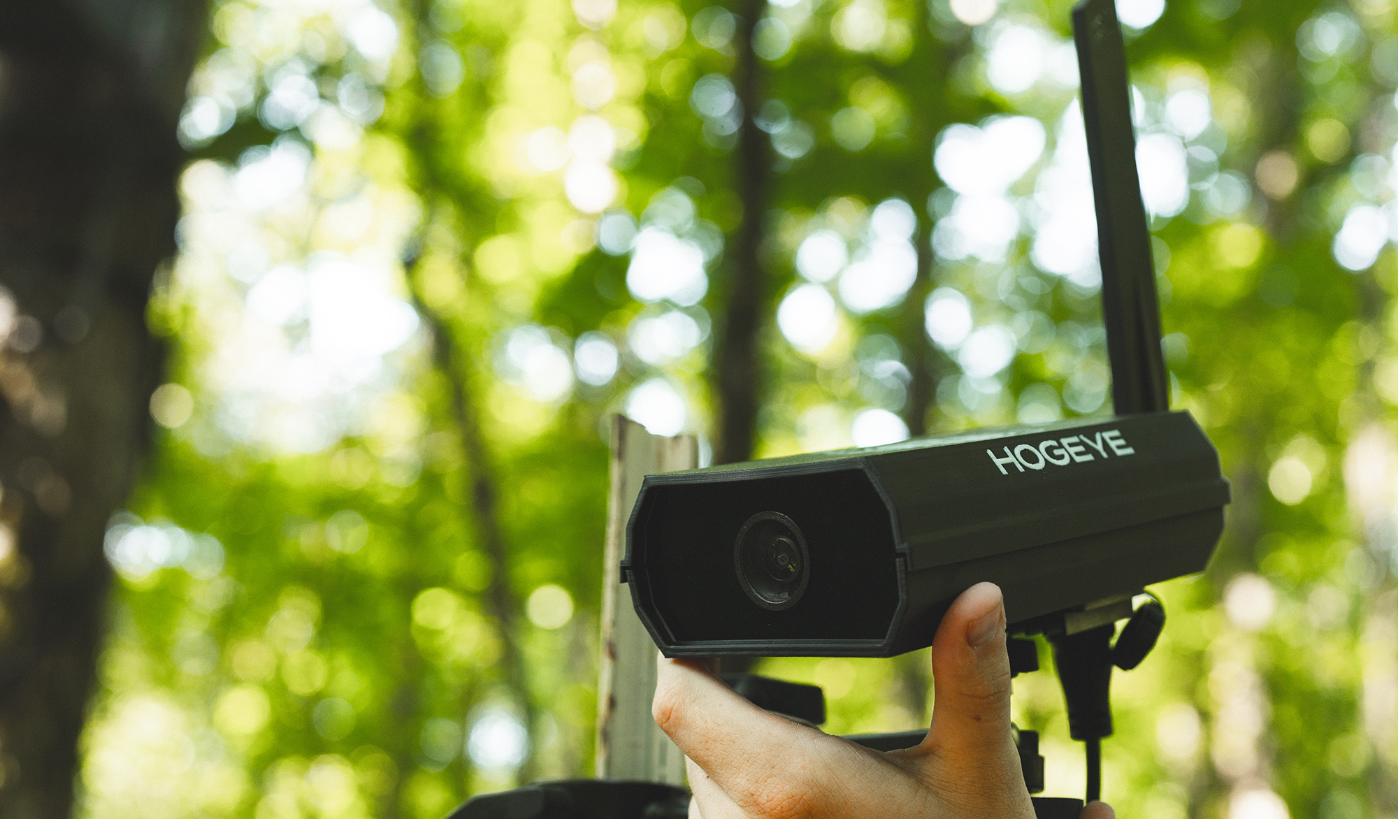 Person installing a HogEye camera on a trap setup in a forest