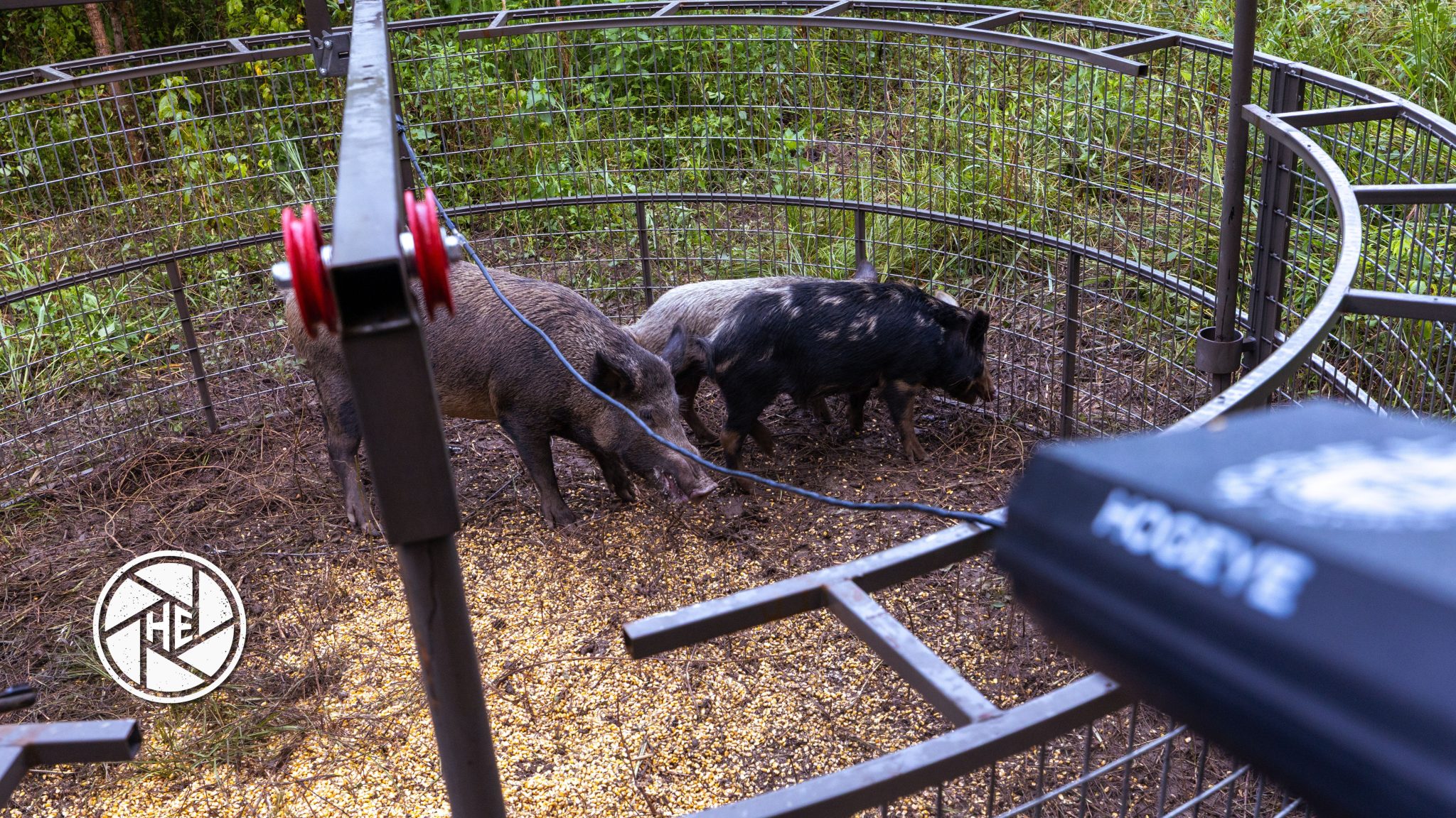 The Ultimate Guide To Setting Up A Hogeye Camera Trap