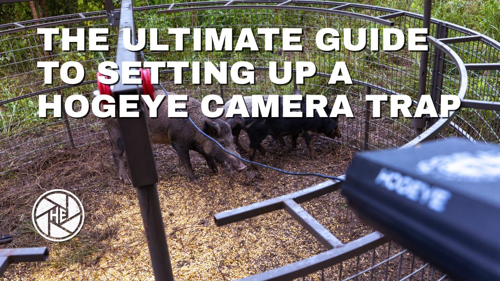 Ultimate Guide to setting up a Hogeye camera trap