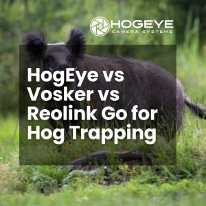 Wild boar in a grassy field with a dark overlay displaying 'HogEye vs Vosker vs Reolink Go for Hog Trapping' and the HogEye logo.