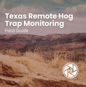 Cover image for 'Texas Remote Hog Trap Monitoring Field Guide' featuring a desert canyon landscape with a circular logo in the lower right corner.