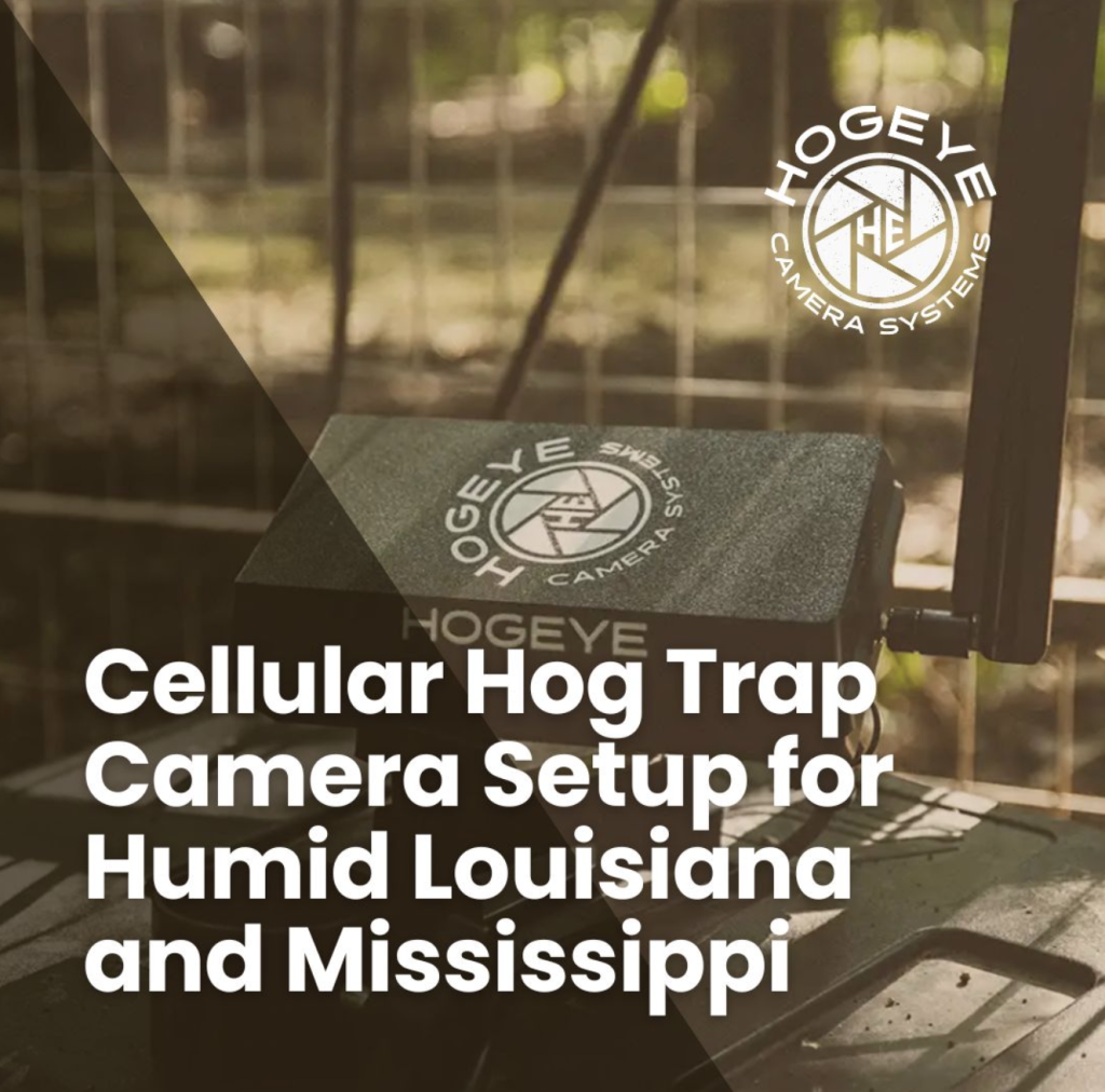 Hero image showing a hog trap camera on a green box with a circular logo, overlaid by the article title about cellular hog trap camera setup in humid Louisiana and Mississippi.