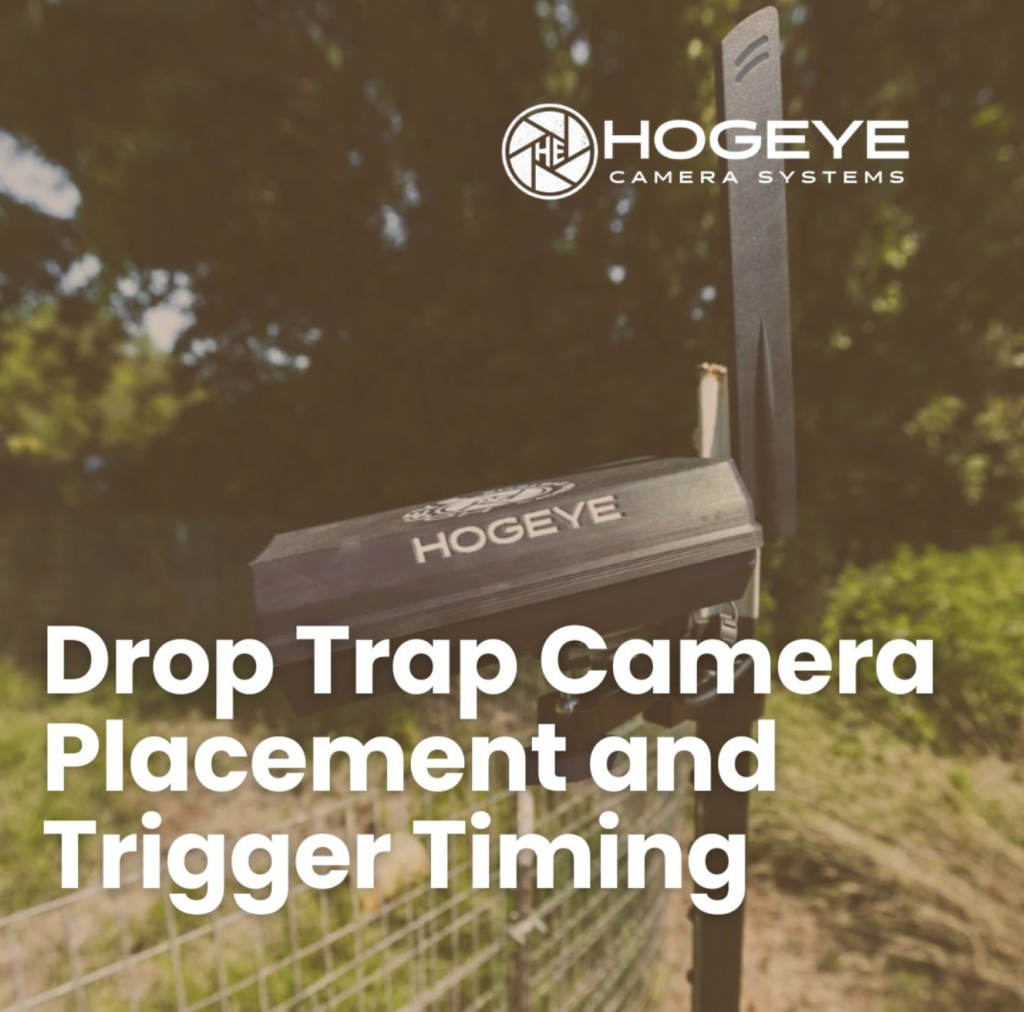 HogEye camera system logo over a drop trap on a fence with the title 'Drop Trap Camera Placement and Trigger Timing'